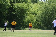 OTFL Gallery Image